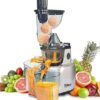 Libra 240 Watts Cold Press Juicer | 48 RPM slow pressed juicer | Free Recipe Book(Silver)